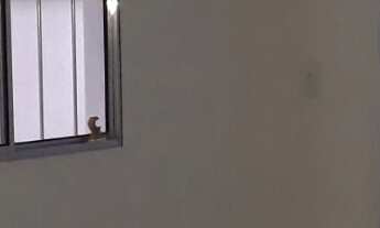 Imagem 4: Casa à venda em Sorocaba-SP, Jardim Nilton Torres: 3 quartos, 1 suíte, 2 salas, 2 banheiro