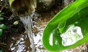 Imagem 4: Sítio à venda em Piedade-SP, bairro Piedade, com 0,01 m² de área: oportunidade imperdível!