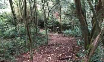 Imagem 6: Sítio à venda em Piedade-SP, bairro Piedade, com 0,01 m² de área: oportunidade imperdível!