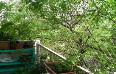 Imagem: Apartamento para Venda em São Paulo / SP