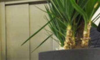 Imagem 2: 2 dormitórios na Rua Guiratinga