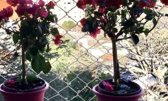 Imagem 6: 2 dormitórios na Rua Pio Xi