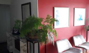 Imagem 2: 3 dormitórios na Avenida Doutor Guilherme Dumont Villares