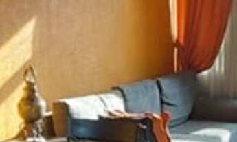 Imagem 5: 3 dormitórios na Rua Major Sertório