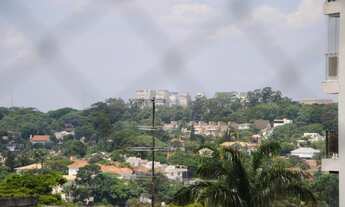 Imagem 4: 3 dormitórios na Rua Ernest Renam