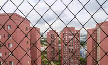 Imagem 4: 3 dormitórios na Avenida Professora Ida Kolb