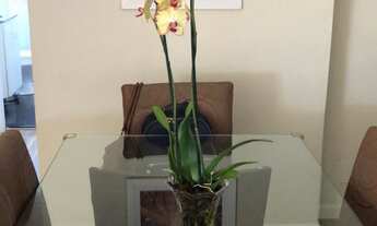 Imagem 6: 2 dormitórios na Rua Votupoca