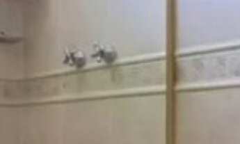 Imagem 2: 3 dormitórios na Rua França Pinto