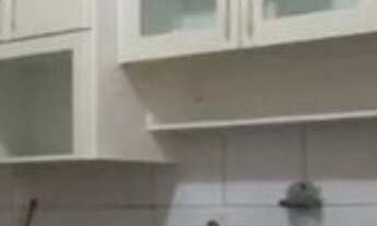 Imagem 4: 3 dormitórios na Rua França Pinto