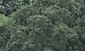 Imagem 4: 3 dormitórios na Rua Alagoas