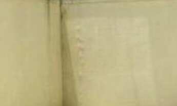 Imagem 4: 4 dormitórios na Avenida Amarilis