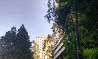 Imagem 4: 3 dormitórios na Avenida Giovanni Gronchi