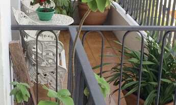 Imagem 5: 3 dormitórios na Rua Havaí