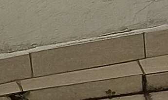 Imagem: 2 dormitórios na Rua Helvétia