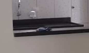 Imagem 4: 3 dormitórios na Avenida Lacerda Franco