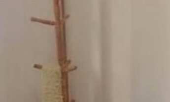 Imagem 6: 2 dormitórios na Rua Piracema