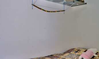 Imagem 4: 3 dormitórios na Rua José Da Costa De Andrade