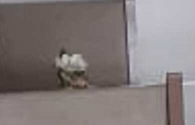 Imagem 2: 3 dormitórios na Avenida Marginal Direita Anchieta