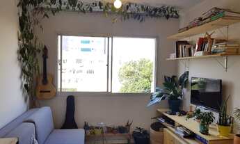 Imagem 3: 1 dormitório na Rua Doutor Samuel Porto