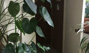 Imagem: 2 dormitórios na Rua Dos Pinheiros