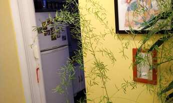 Imagem 7: 1 dormitório na Rua Major Sertório