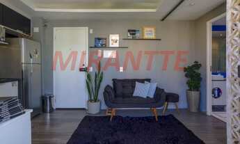 Imagem 2: 1 dormitório na Rua Caetano Pinto