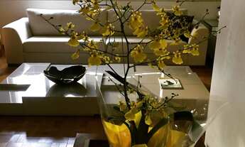 Imagem 3: 3 dormitórios na Rua Bela Cintra