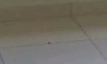 Imagem: 1 dormitório na Rua Rocha