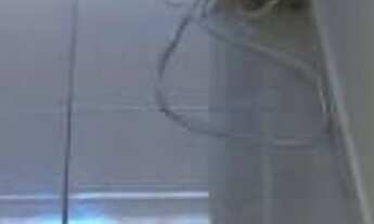 Imagem 5: 1 dormitório na Rua Rocha