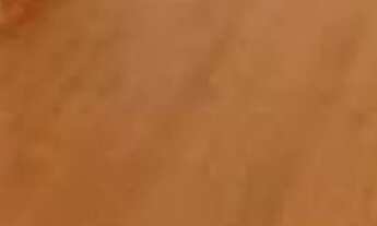 Imagem 4: 1 dormitório na Avenida Rangel Pestana