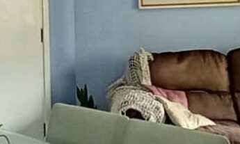 Imagem 5: 4 dormitórios na Rua Bergamota