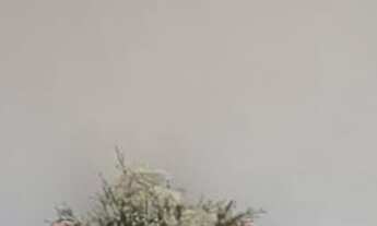 Imagem 4: 3 dormitórios na Rua Ituxi