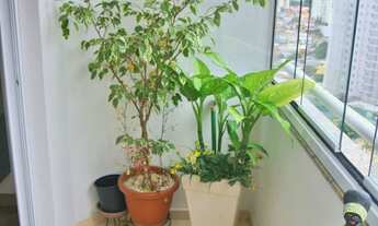 Imagem 5: 2 dormitórios na Avenida Bosque Da Saúde