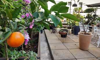 Imagem 7: 2 dormitórios na Rua Apiacás