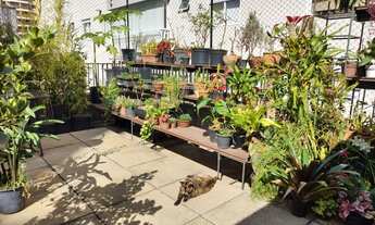 Imagem: 2 dormitórios na Rua Apiacás