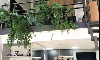 Imagem 7: 1 dormitório na Rua Pintassilgo