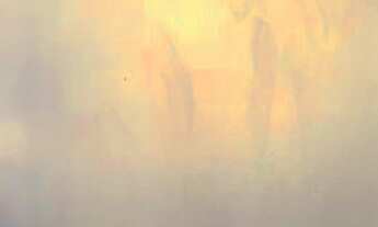 Imagem 4: 1 dormitório na Rua Pintassilgo