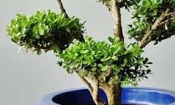 Imagem 7: 1 dormitório, 1 banheiros, 1 vaga na garagem, 27M² de Área Construída