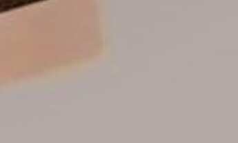 Imagem 3: 3 dormitórios na Rua Fradique Coutinho