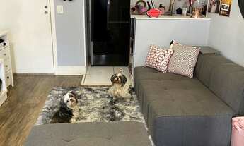 Imagem 3: 3 dormitórios na Rua Alegria