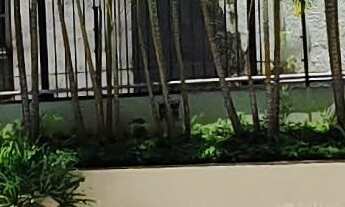 Imagem: 4 dormitórios na Rua Nebraska