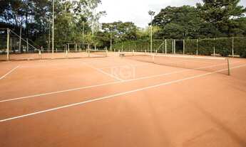 Imagem 7: 1000M² de Área Total na Avenida Juca Batista