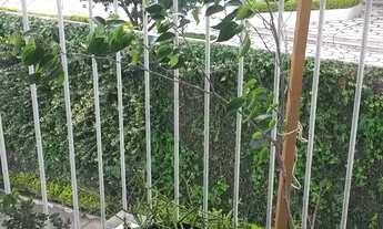 Imagem 6: 2 dormitórios na Avenida Giovanni Gronchi