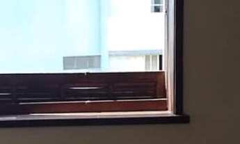 Imagem 6: 2 dormitórios na Rua Peixoto Gomide