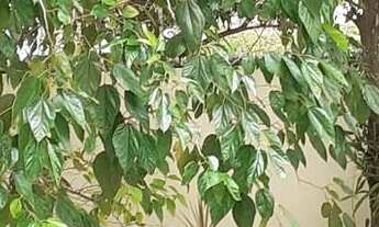 Imagem 6: 1 dormitório na Rua Vigário Albernaz