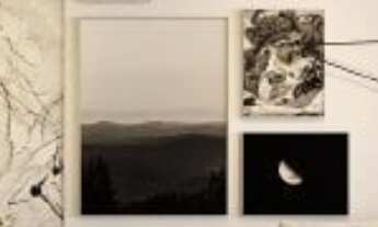 Imagem 4: 1 dormitório na Avenida Pedroso De Morais