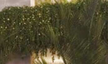 Imagem 2: 1 dormitório na Rua Casa Do Ator