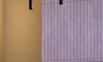 Imagem 3: 2 dormitórios na Rua João Moura