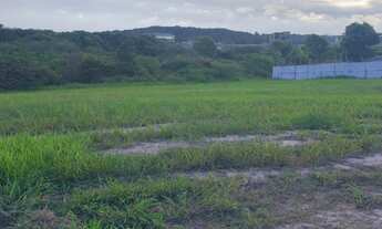 Imagem 2: Lote de 780 m² no Condomínio Jardins Veneza!