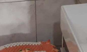 Imagem 5: SOBRADO EM PINHAIS